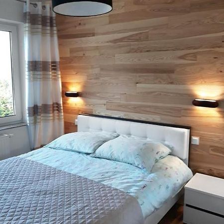 Apartament Szary Wilk Świeradów-Zdrój Esterno foto